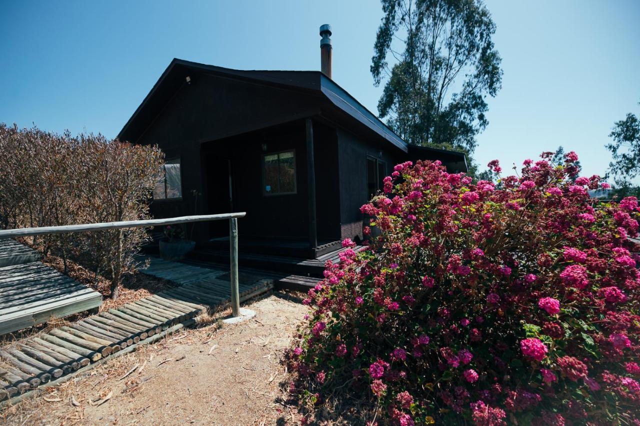 Bungalow Miramar & Jeronimo At Casa Marin Vineyards Bed & Breakfast Картахена Екстериор снимка