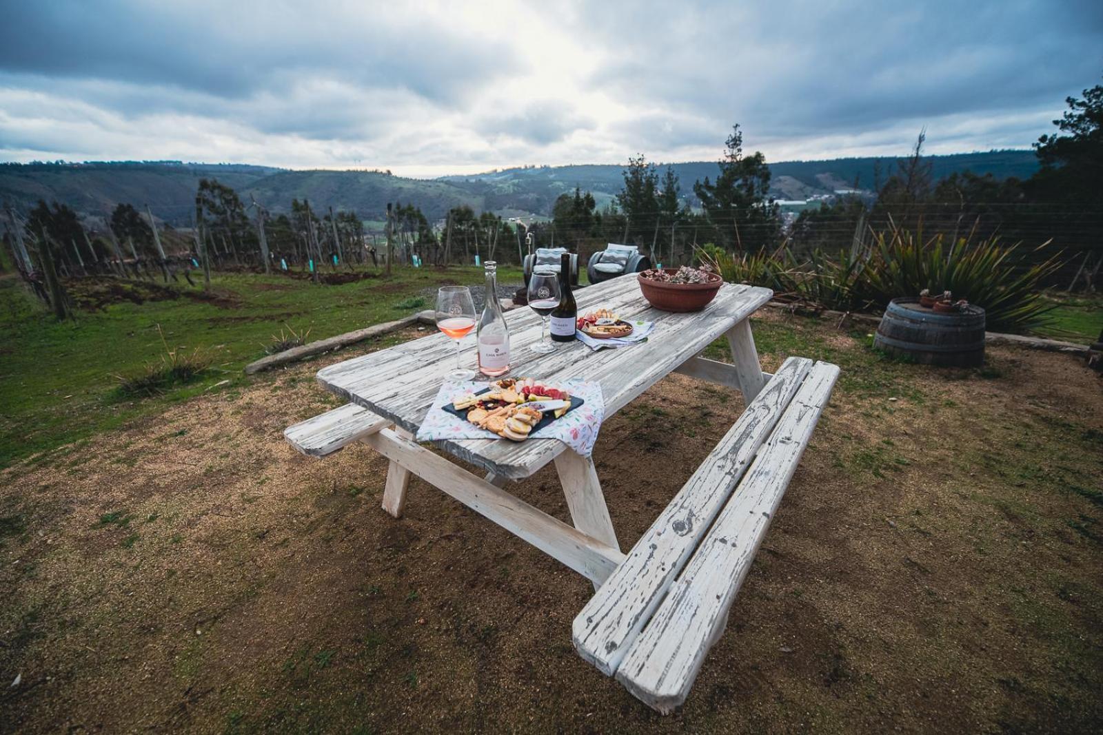 Bungalow Miramar & Jeronimo At Casa Marin Vineyards Bed & Breakfast Картахена Екстериор снимка
